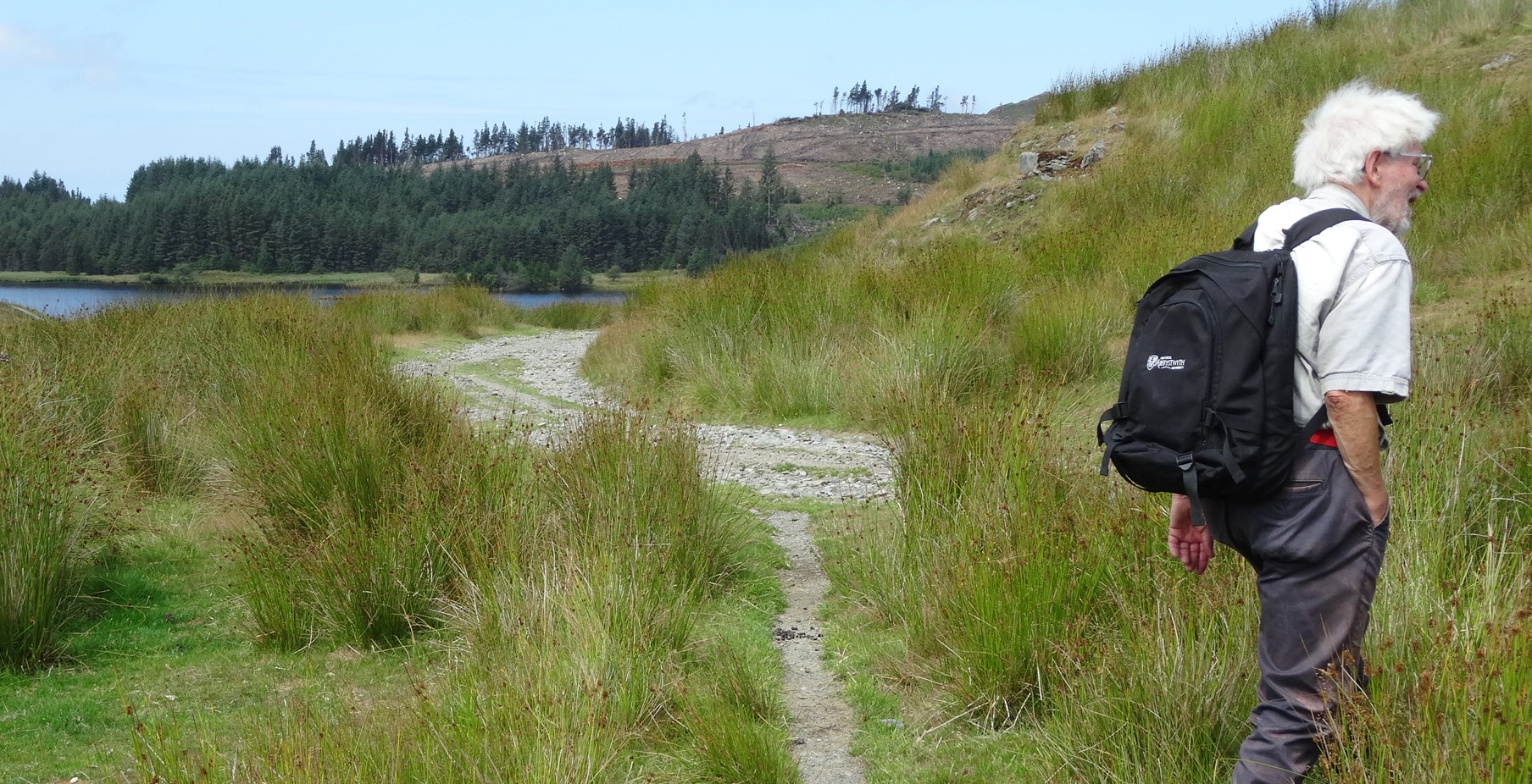 RachelSeabrook.net | Wild Walking | Disgwylfa-Fawr | pic05